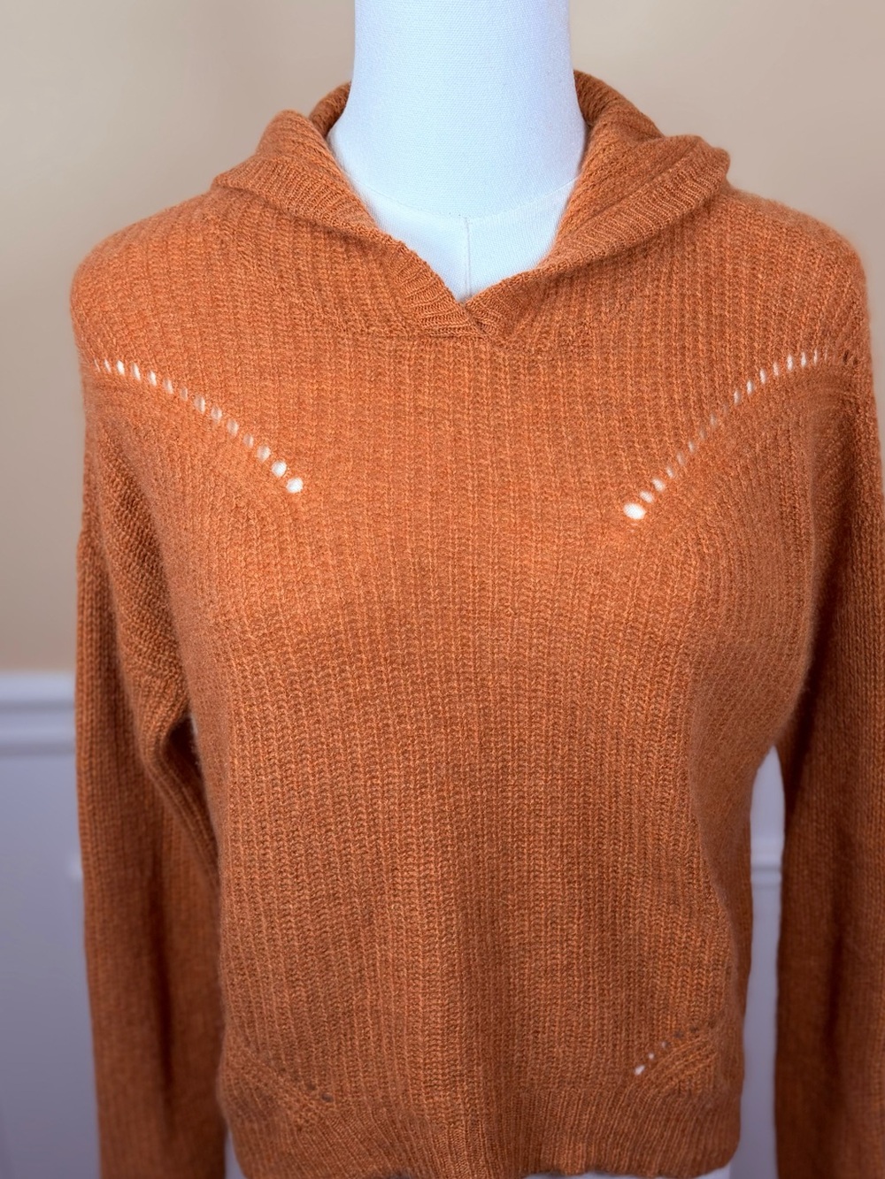 🧡 Autumn Cashmere 100% Cashmere Hooded Sweater XS Burnt Orange